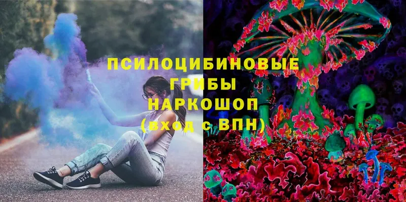 Галлюциногенные грибы Psilocybine cubensis  Билибино 